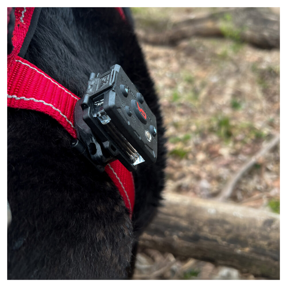 Snap-Lock Mount (Dog/K9 Safety)