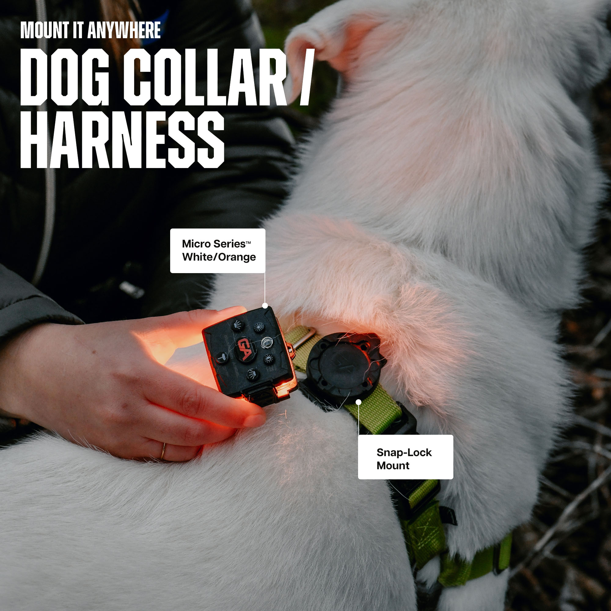 Guardian Angel snap-lock mount for dog walking and running