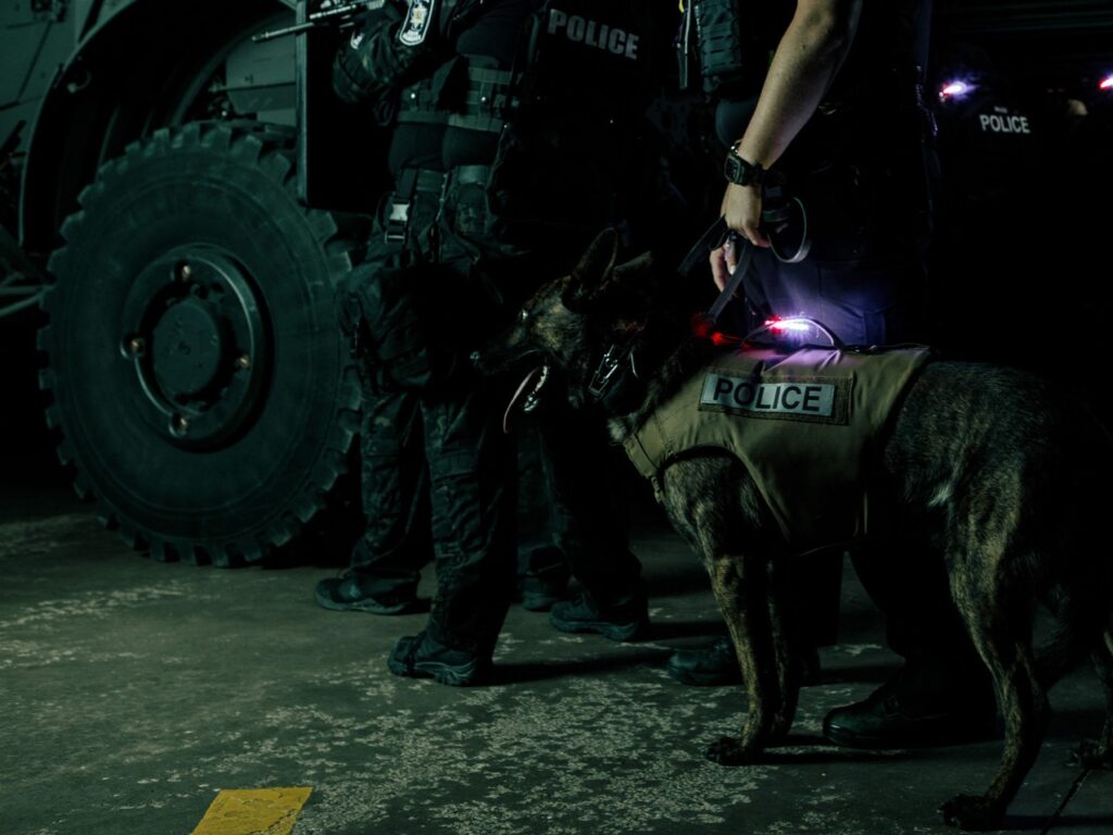 Guardian Angel light on a K9 unit