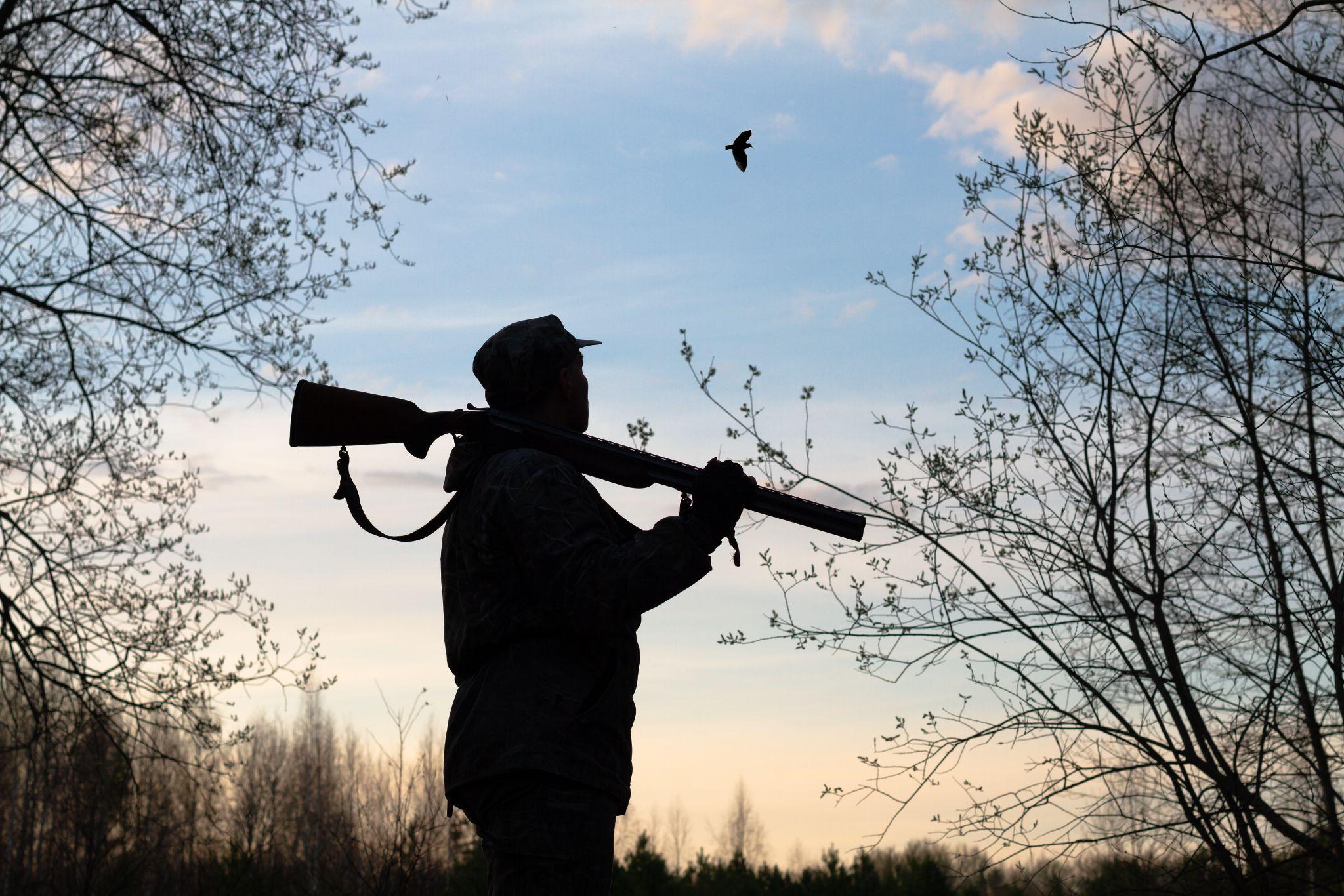 How to Safely Hunt at Night or in Low-Light Conditions